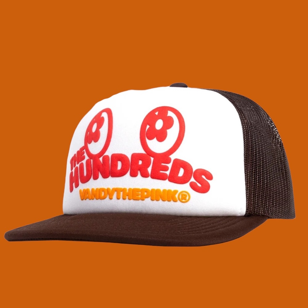 Vandy the pink X the hundreds limited edition